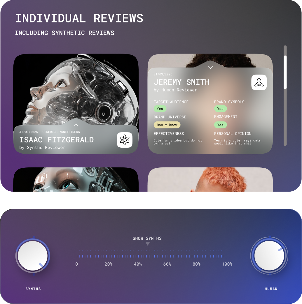Synthetic personas